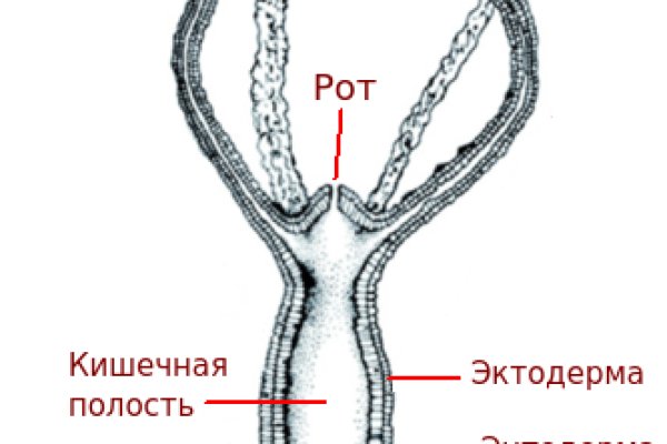 BlackSprutruzxpnew4af union ссылка на сайт